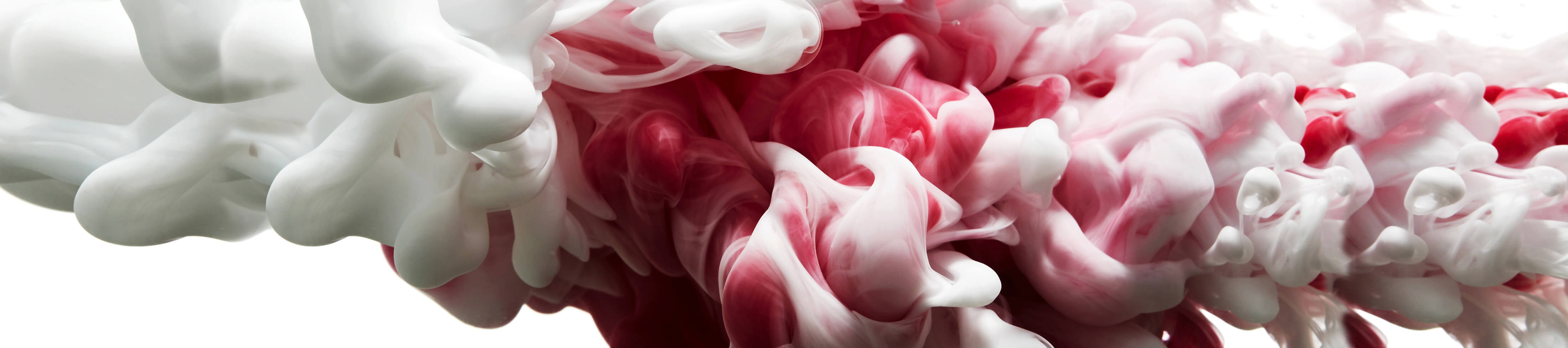 Stephan.
WIR SIND PROXES. Stephan.
WIR SIND PROXES.